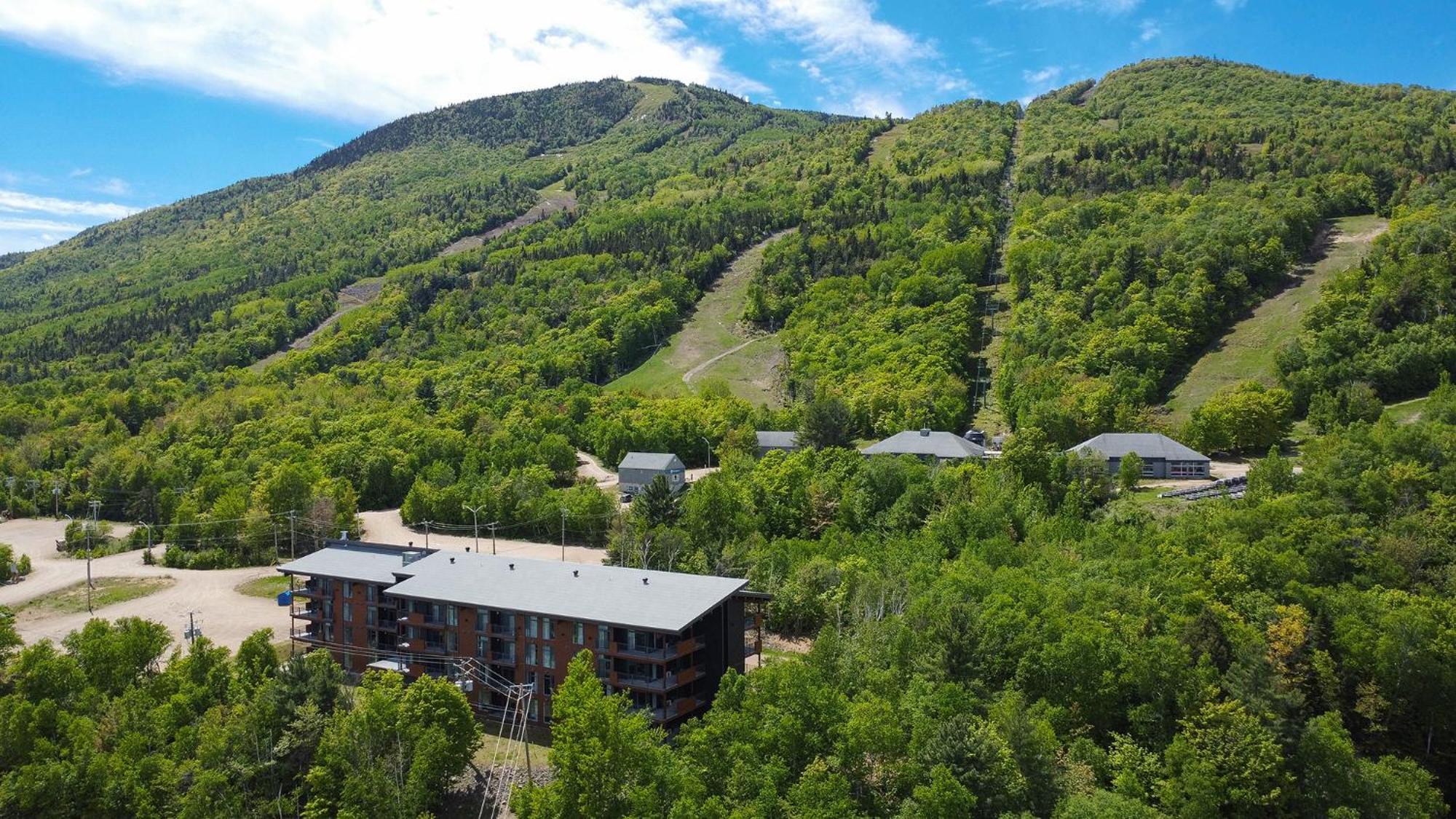 Les Appartements Du Massif De Charlevoix Petite-Riviere-Saint-Francois Esterno foto